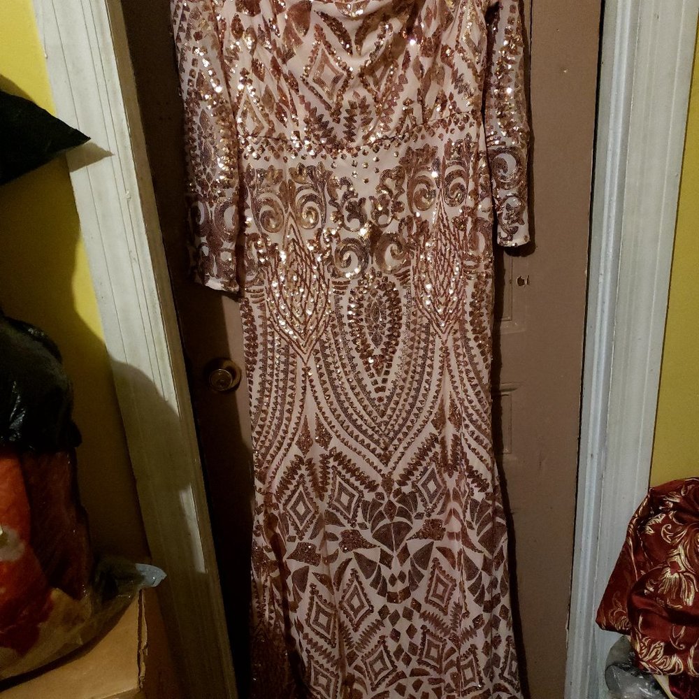 Fashion nova dress